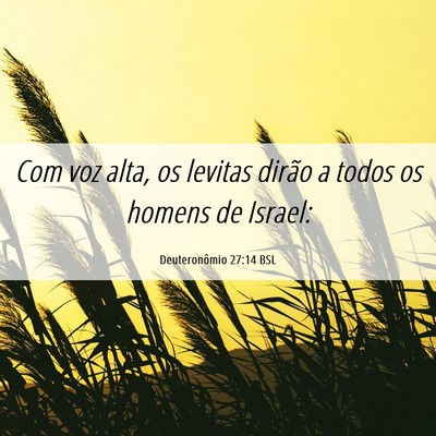 Picture 06 - Deuteronômio 27:14 BSL - Com voz alta, os levitas dirão a todos os homens - Bible Verse Picture