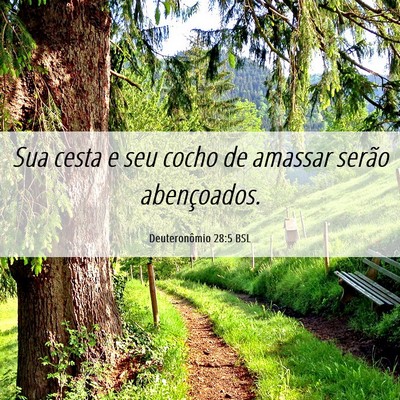 Picture 06 - Deuteronômio 28:5 BSL - Sua cesta e seu cocho de amassar serão - Bible Verse Picture