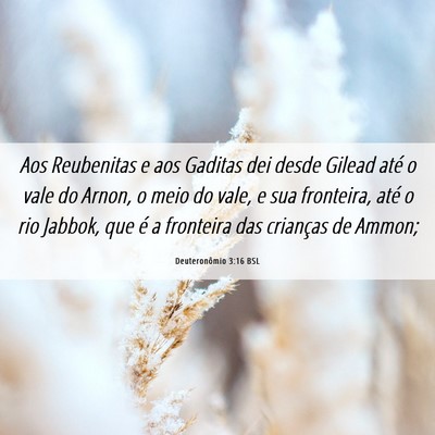 Picture 06 - Deuteronômio 3:16 BSL - Aos Reubenitas e aos Gaditas dei desde Gilead - Bible Verse Picture