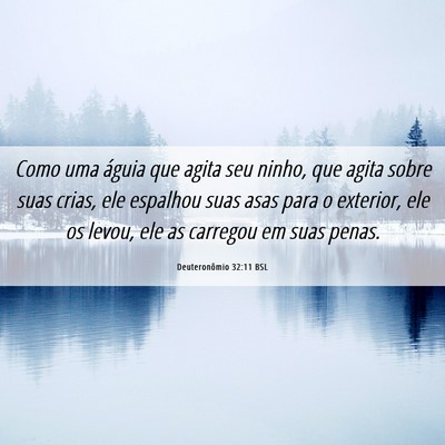 Picture 06 - Deuteronômio 32:11 BSL - Como uma águia que agita seu ninho, que agita - Bible Verse Picture