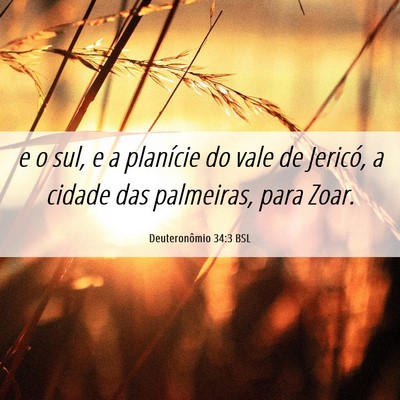 Picture 06 - Deuteronômio 34:3 BSL - e o sul, e a planície do vale de Jericó, a - Bible Verse Picture