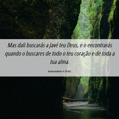Picture 06 - Deuteronômio 4:29 BSL - Mas dali buscarás a Javé teu Deus, e o - Bible Verse Picture