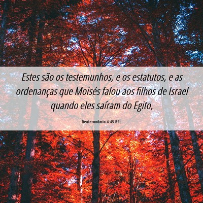 Picture 06 - Deuteronômio 4:45 BSL - Estes são os testemunhos, e os estatutos, e as - Bible Verse Picture
