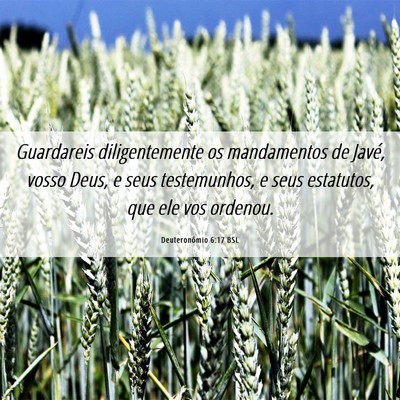 Picture 06 - Deuteronômio 6:17 BSL - Guardareis diligentemente os mandamentos de - Bible Verse Picture