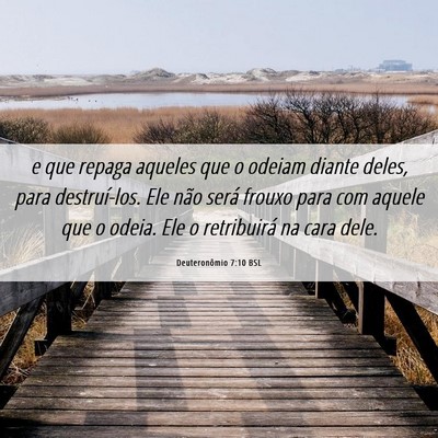 Picture 06 - Deuteronômio 7:10 BSL - e que repaga aqueles que o odeiam diante deles, - Bible Verse Picture