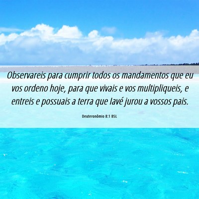 Picture 06 - Deuteronômio 8:1 BSL - Observareis para cumprir todos os mandamentos que - Bible Verse Picture