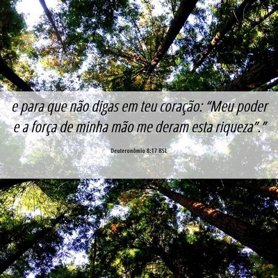 Picture 06 - Deuteronômio 8:17 BSL - e para que não digas em teu coração: “Meu - Bible Verse Picture