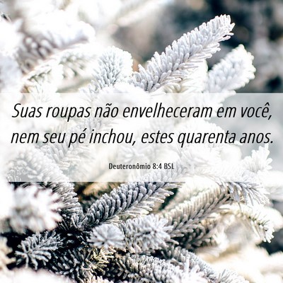 Picture 06 - Deuteronômio 8:4 BSL - Suas roupas não envelheceram em você, nem seu - Bible Verse Picture