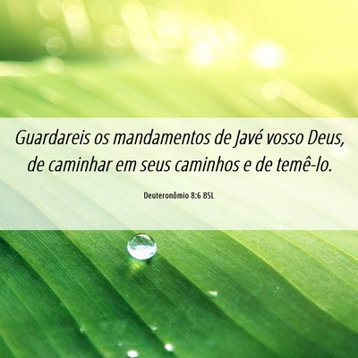 Picture 06 - Deuteronômio 8:6 BSL - Guardareis os mandamentos de Javé vosso Deus, de - Bible Verse Picture