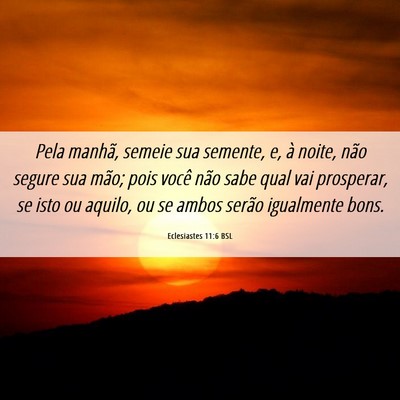 Picture 06 - Eclesiastes 11:6 BSL - Pela manhã, semeie sua semente, e, à noite, - Bible Verse Picture