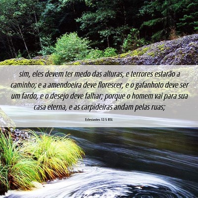 Picture 06 - Eclesiastes 12:5 BSL - sim, eles devem ter medo das alturas, e terrores - Bible Verse Picture