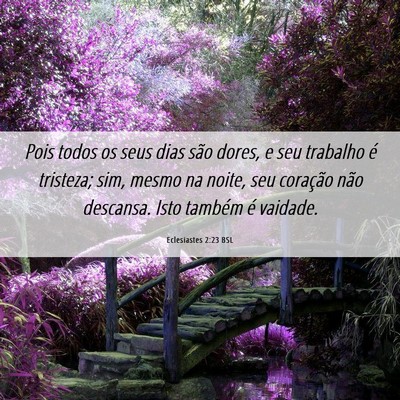 Picture 06 - Eclesiastes 2:23 BSL - Pois todos os seus dias são dores, e seu - Bible Verse Picture