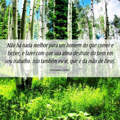 Picture 06 - Eclesiastes 2:24 BSL - Não há nada melhor para um homem do que comer e - Bible Verse Picture