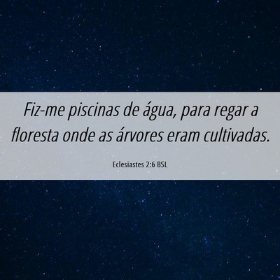 Picture 06 - Eclesiastes 2:6 BSL - Fiz-me piscinas de água, para regar a floresta - Bible Verse Picture