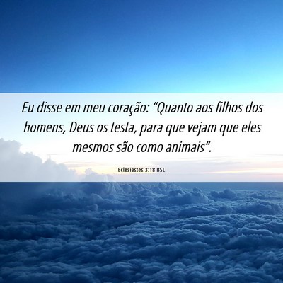 Picture 06 - Eclesiastes 3:18 BSL - Eu disse em meu coração: “Quanto aos filhos - Bible Verse Picture