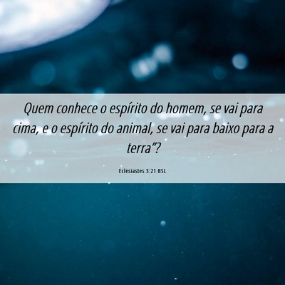 Picture 06 - Eclesiastes 3:21 BSL - Quem conhece o espírito do homem, se vai para - Bible Verse Picture