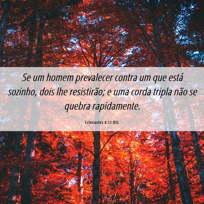 Picture 06 - Eclesiastes 4:12 BSL - Se um homem prevalecer contra um que está - Bible Verse Picture