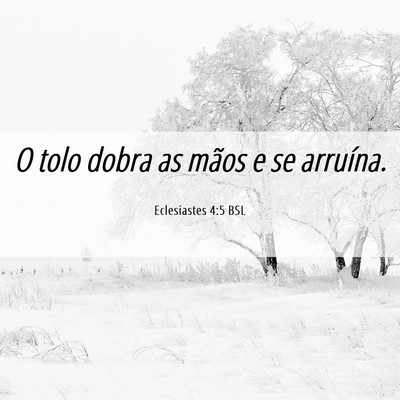 Picture 06 - Eclesiastes 4:5 BSL - O tolo dobra as mãos e se - Bible Verse Picture