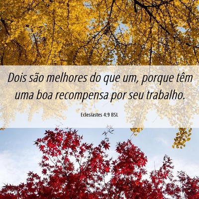 Picture 06 - Eclesiastes 4:9 BSL - Dois são melhores do que um, porque têm uma boa - Bible Verse Picture