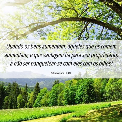 Picture 06 - Eclesiastes 5:11 BSL - Quando os bens aumentam, aqueles que os comem - Bible Verse Picture
