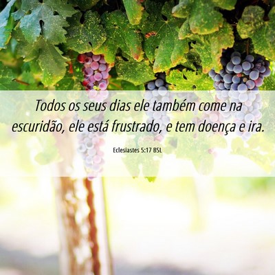 Picture 06 - Eclesiastes 5:17 BSL - Todos os seus dias ele também come na - Bible Verse Picture