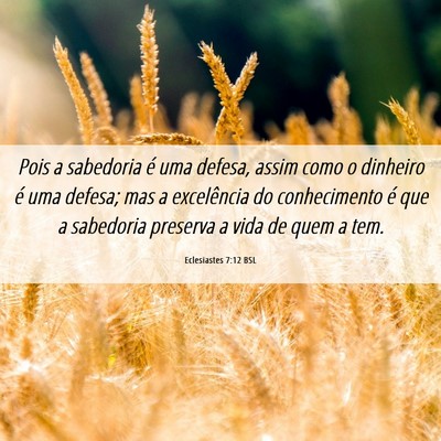 Picture 06 - Eclesiastes 7:12 BSL - Pois a sabedoria é uma defesa, assim como o - Bible Verse Picture