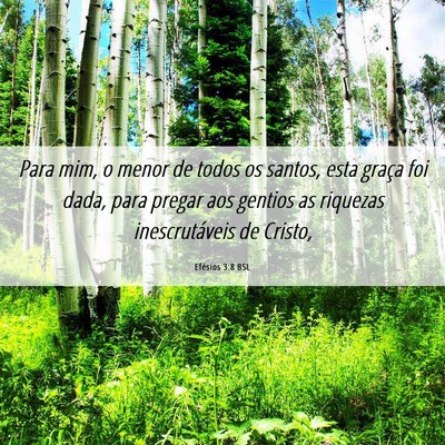 Picture 06 - Efésios 3:8 BSL - Para mim, o menor de todos os santos, esta graça - Bible Verse Picture