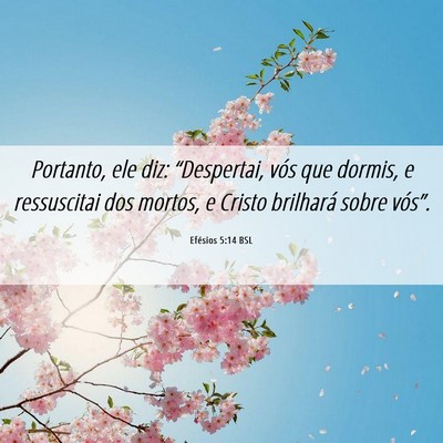 Picture 06 - Efésios 5:14 BSL - Portanto, ele diz: “Despertai, vós que dormis, - Bible Verse Picture