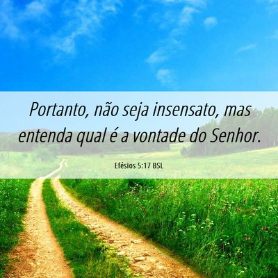 Picture 06 - Efésios 5:17 BSL - Portanto, não seja insensato, mas entenda qual - Bible Verse Picture