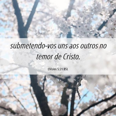 Picture 06 - Efésios 5:21 BSL - submetendo-vos uns aos outros no temor de - Bible Verse Picture