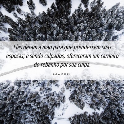 Picture 06 - Esdras 10:19 BSL - Eles deram a mão para que prendessem suas - Bible Verse Picture