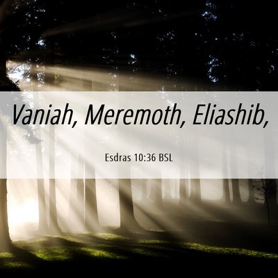 Picture 06 - Esdras 10:36 BSL - Vaniah, Meremoth, - Bible Verse Picture