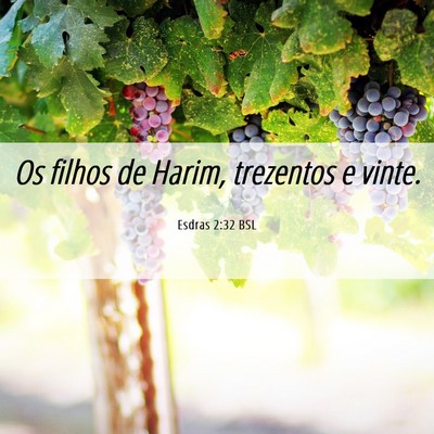 Picture 06 - Esdras 2:32 BSL - Os filhos de Harim, trezentos e - Bible Verse Picture