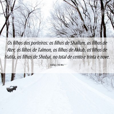 Picture 06 - Esdras 2:42 BSL - Os filhos dos porteiros: os filhos de Shallum, os - Bible Verse Picture