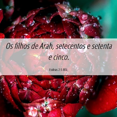 Picture 06 - Esdras 2:5 BSL - Os filhos de Arah, setecentos e setenta e - Bible Verse Picture