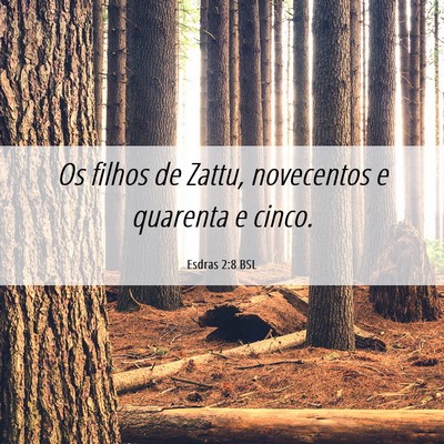 Picture 06 - Esdras 2:8 BSL - Os filhos de Zattu, novecentos e quarenta e - Bible Verse Picture
