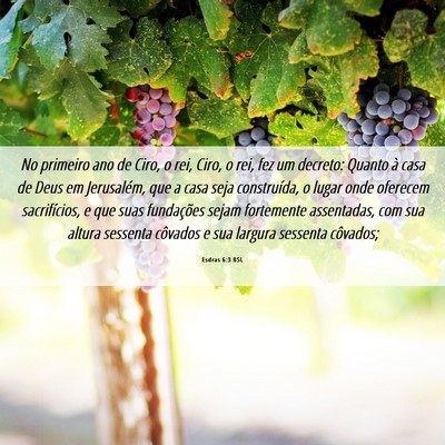 Picture 06 - Esdras 6:3 BSL - No primeiro ano de Ciro, o rei, Ciro, o rei, fez - Bible Verse Picture