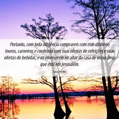 Picture 06 - Esdras 7:17 BSL - Portanto, com toda diligência comprareis com - Bible Verse Picture