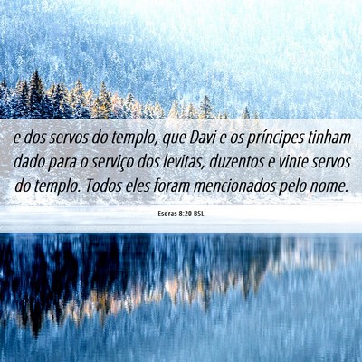 Picture 06 - Esdras 8:20 BSL - e dos servos do templo, que Davi e os príncipes - Bible Verse Picture