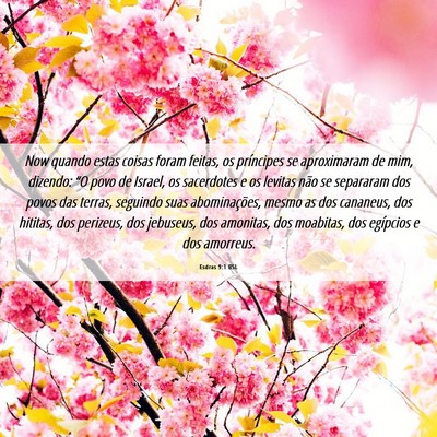 Picture 06 - Esdras 9:1 BSL - Now quando estas coisas foram feitas, os - Bible Verse Picture