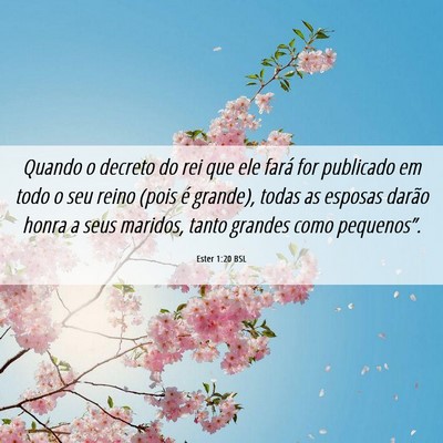 Picture 06 - Ester 1:20 BSL - Quando o decreto do rei que ele fará for - Bible Verse Picture