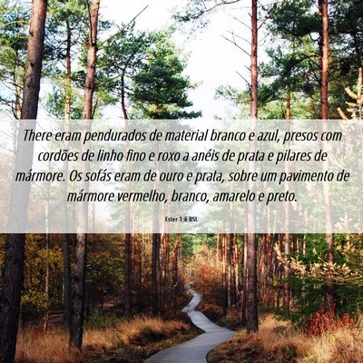 Picture 06 - Ester 1:6 BSL - There eram pendurados de material branco e azul, - Bible Verse Picture