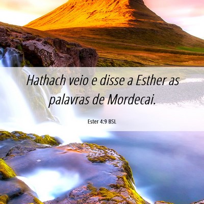 Picture 06 - Ester 4:9 BSL - Hathach veio e disse a Esther as palavras de - Bible Verse Picture