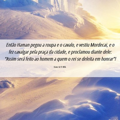 Picture 06 - Ester 6:11 BSL - Então Haman pegou a roupa e o cavalo, e vestiu - Bible Verse Picture