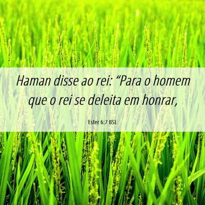 Picture 06 - Ester 6:7 BSL - Haman disse ao rei: “Para o homem que o rei se - Bible Verse Picture