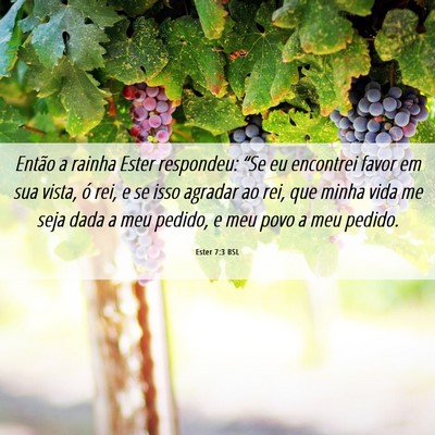 Picture 06 - Ester 7:3 BSL - Então a rainha Ester respondeu: “Se eu - Bible Verse Picture