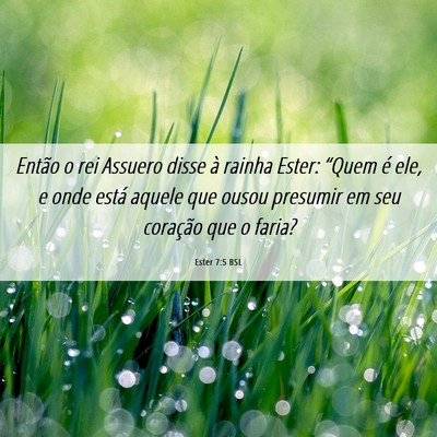 Picture 06 - Ester 7:5 BSL - Então o rei Assuero disse à rainha Ester: - Bible Verse Picture