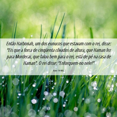 Picture 06 - Ester 7:9 BSL - Então Harbonah, um dos eunucos que estavam com o - Bible Verse Picture