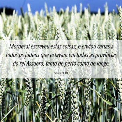 Picture 06 - Ester 9:20 BSL - Mordecai escreveu estas coisas, e enviou cartas a - Bible Verse Picture