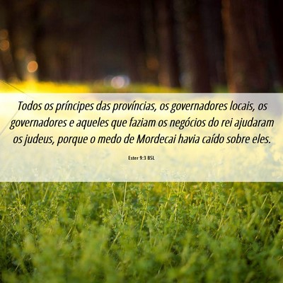 Picture 06 - Ester 9:3 BSL - Todos os príncipes das províncias, os - Bible Verse Picture